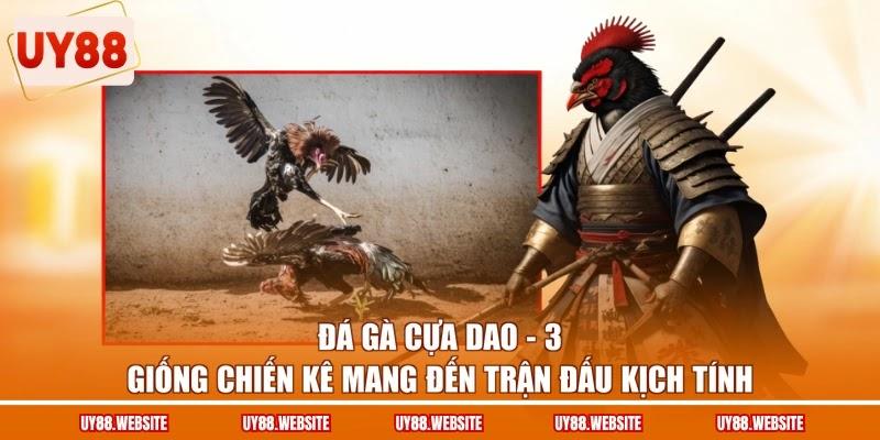 Đá Gà Cựa Dao - 3 Giống Chiến Kê Mang Đến Trận Đấu Kịch Tính