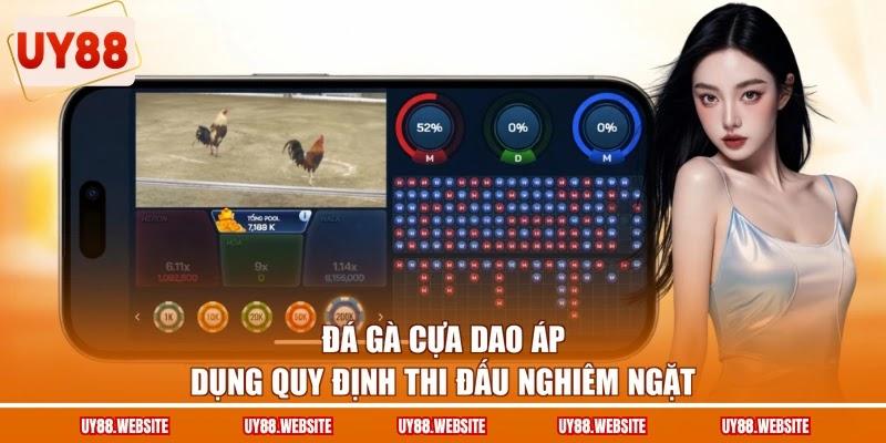 Đá gà cựa dao áp dụng quy định thi đấu nghiêm ngặt