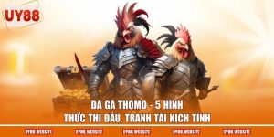 Đá Gà Thomo - 5 Hình Thức Thi Đấu, Tranh Tài Kịch Tính
