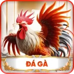 da ga uy88