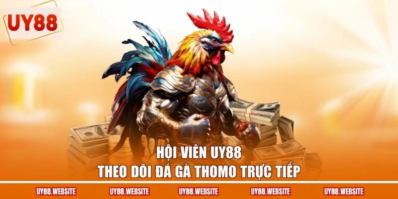 Hội viên UY88 theo dõi đá gà Thomo trực tiếp Hội viên UY88 theo dõi đá gà Thomo trực tiếp