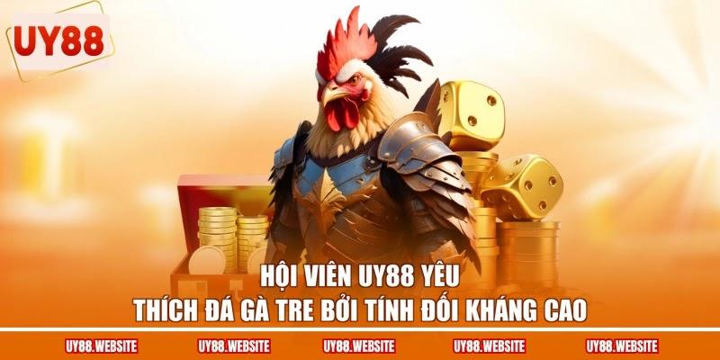 Hội viên UY88 yêu thích đá gà tre bởi tính đối kháng cao Hội viên UY88 yêu thích đá gà tre bởi tính đối kháng cao