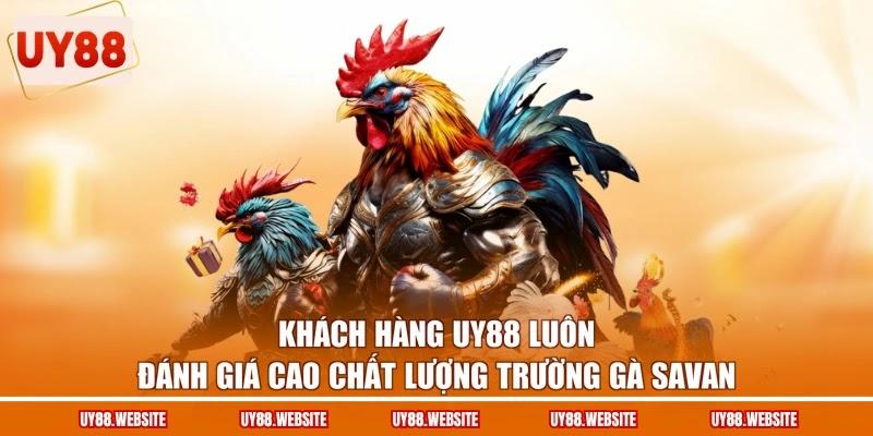 Khách hàng UY88 luôn đánh giá cao chất lượng trường gà Savan Khách hàng UY88 luôn đánh giá cao chất lượng trường gà Savan