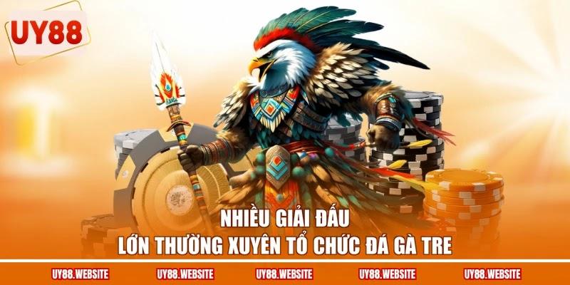 Nhiều giải đấu lớn thường xuyên tổ chức đá gà tre Nhiều giải đấu lớn thường xuyên tổ chức đá gà tre