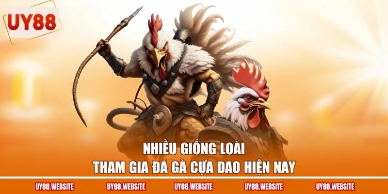 Nhiều giống loài tham gia đá gà cựa dao hiện nay