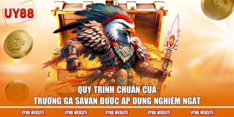 Quy trình chuẩn của trường gà Savan được áp dụng nghiêm ngặt Quy trình chuẩn của trường gà Savan được áp dụng nghiêm ngặt