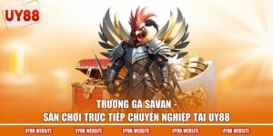 Trường Gà Savan - Sân Chơi Trực Tiếp Chuyên Nghiệp Tại UY88